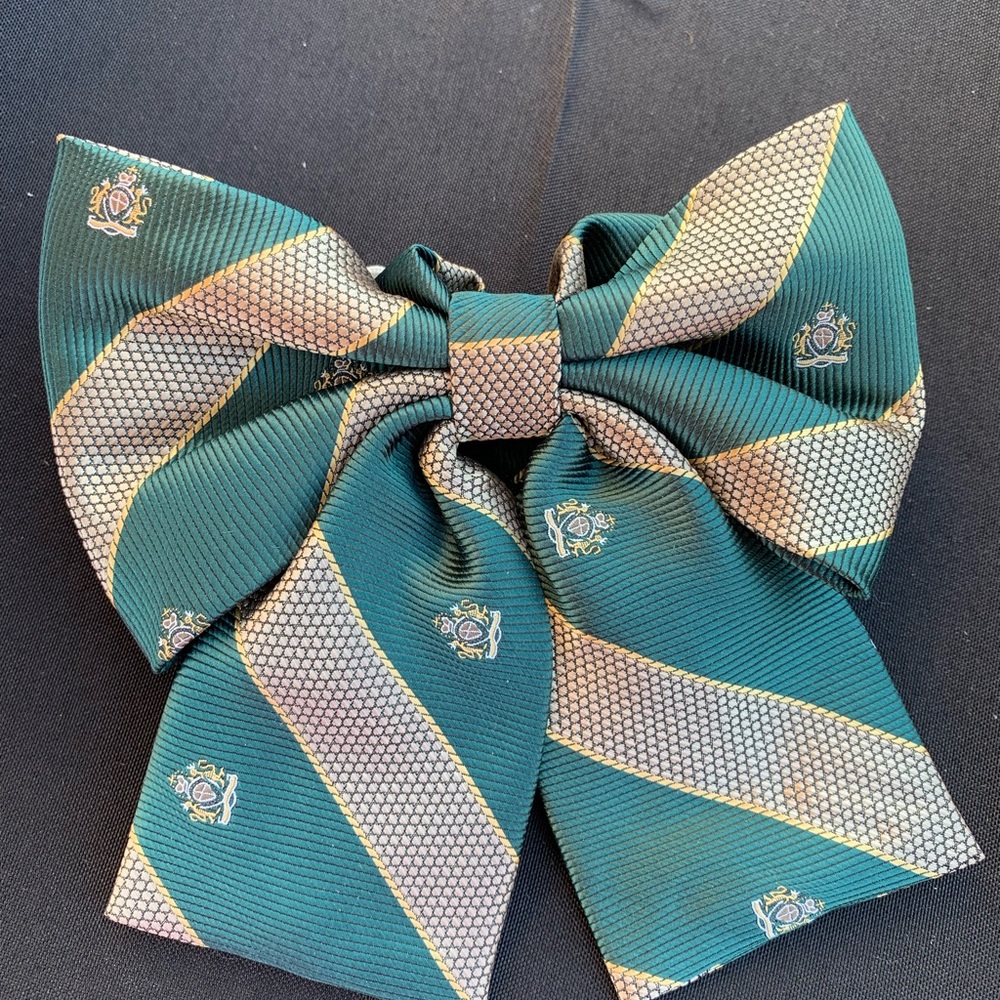 Ladies Tie Accessory